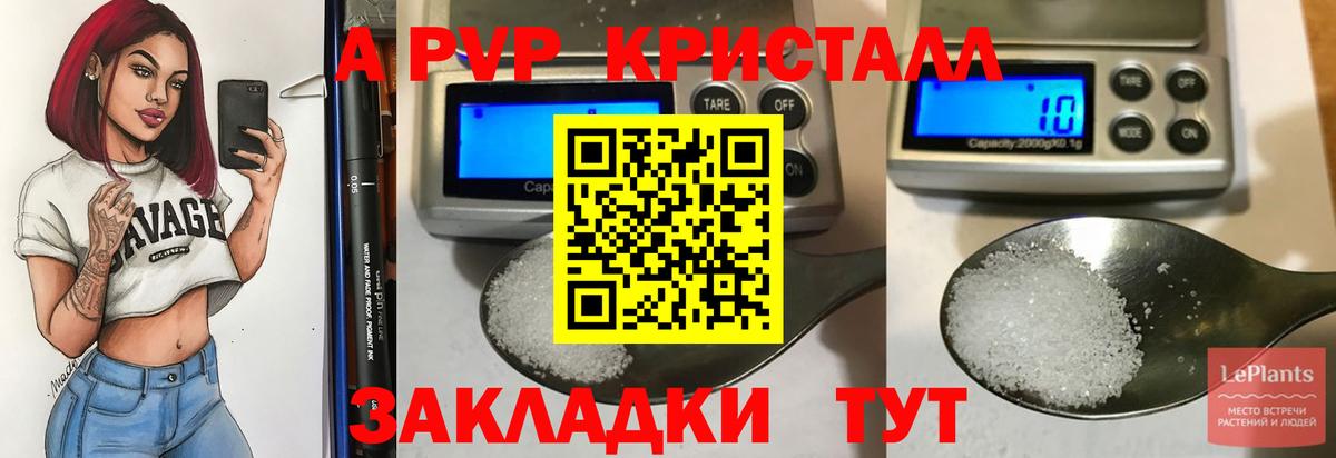 APVP СК КРИС Выкса
