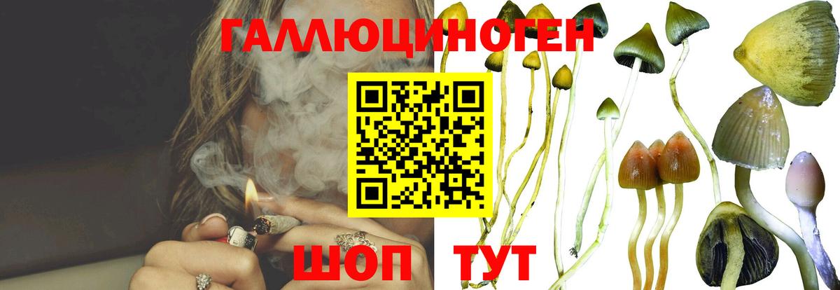 Галлюциногенные грибы прущие грибы  Псилоцибиновые грибы мицелий  Выкса  где купить наркоту  Вход с VPN 